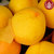 一乡一品 黄桃 5斤装 蜜脆多汁 新鲜当季水果  A0441(规格 5斤)第3张高清大图