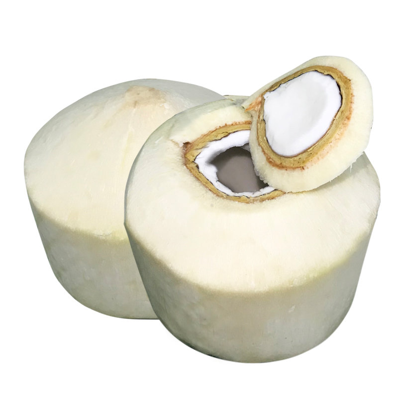 泰国椰青29个装新鲜水果进口椰子汁椰子去皮椰青2个装椰青