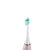 荷兰艾优APIYOO成人声波电动牙刷 情侣款男女通用 感应充电式 全身防水 T9成人电动牙刷(樱花粉 新品)第6张高清大图