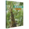 富阳竹类植物图鉴