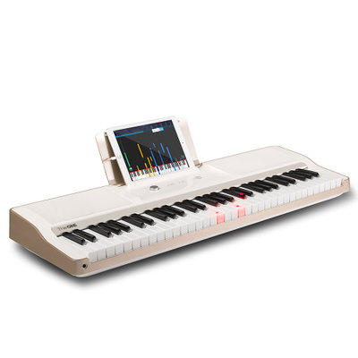 THE ONE light 智能电子琴 61键 力度键盘 儿童电钢琴 香槟金