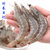 青岛黄海鲜活虾水产新鲜海虾海鲜深海大虾冰虾基围虾冻虾(半斤)第2张高清大图