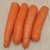 胡萝卜10斤新鲜蔬菜水果脆甜红心萝卜5斤徐州产地直销包邮食用3斤(2500g)第3张高清大图