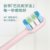 美的（Midea）电动牙刷 成人声波震动牙刷 亮白洁齿（双效刷头*2） 活力刷 情侣款 MC-AJ0201(粉色)第3张高清大图