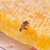神农蜂语 巢蜜500g 神农架蜂巢蜜土蜂蜜第4张高清大图