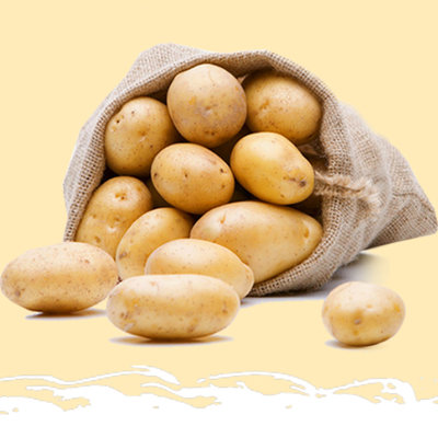 鲜土豆 2.5公斤装（净重2.4-2.6kg）大果(2500g)