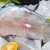 简鲜 鲅鱼400-600g/条新鲜海鱼鲜活海捕鱼冷冻海鲜水产深海燕尾鲅青岛大鲅鱼马鲛鱼(4条)第5张高清大图
