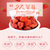 含羞草  芒果干，草莓干等果干组合装  500克  宁夏新疆青海云南贵州西藏港澳台海外不发货(黄色 休闲零食)第2张高清大图