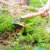 英国BerryBird户外不锈钢拔草刮草除草挖杂草种花bb花园园艺工具(五合一手工具)第4张高清大图