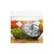 韩京姬CSC300果蔬消毒机洗菜机家用自动奶瓶水果消毒清洗机无臭氧第4张高清大图