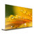 创维(Skyworth) 77W8 77英寸 4K超高清 超薄机身 健康护眼 OLED智能网络电视（金色）第2张高清大图