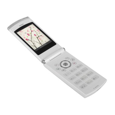 萨际通（SAGETEL）F18手机 双卡双待/GSM