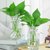 3个9.9元 加厚玻璃花瓶透明北欧ins风创意水培植物绿萝水养插花器(24折纸（2个）烟灰 中等)第4张高清大图