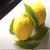 四川特产精选黄柠檬750g包邮 产地直发 新鲜多汁第3张高清大图