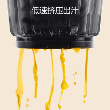 九阳(Joyoung) 无线便携原汁机Z2-LZ190 汁渣分离 无网结构 低速压榨 家用多功能充电水果榨汁机果汁机