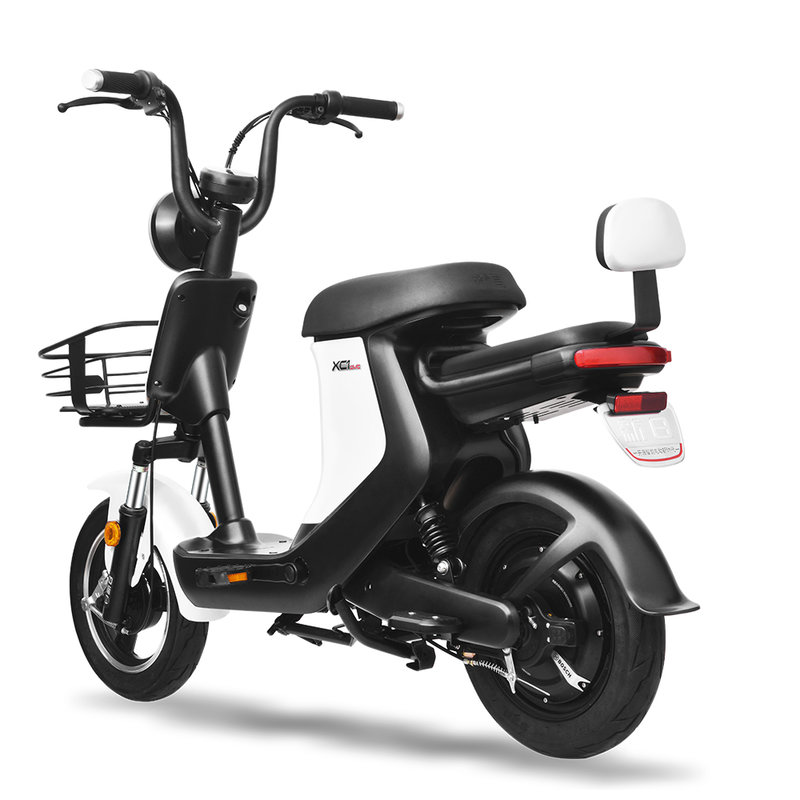 新日电动车xc148v12ah高雅白