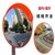 俊采云JCY-C26道路广角镜80厘米转角镜马路交通室外反光镜公路用拐弯镜凸透镜（单位：个）(红色 JCY-C26)第3张高清大图