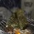 四洲 紫菜即食海苔儿童小零食寿司海苔片海苔碎拌饭办公室零食 40g(蓝紫色 原味50小包)第3张高清大图