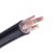 率龙电线电缆SL75国标电缆电线YJV3*25+1*16（单位：米）(默认)第2张高清大图