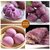 紫薯自发粉900g家用包子馒头花卷杂粮粉高筋面粉(谷香园900克*2袋)第4张高清大图