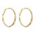 S925银针金属耳圈精致微镶锆石网红耳饰新款女轻奢时尚耳环(金色)第4张高清大图