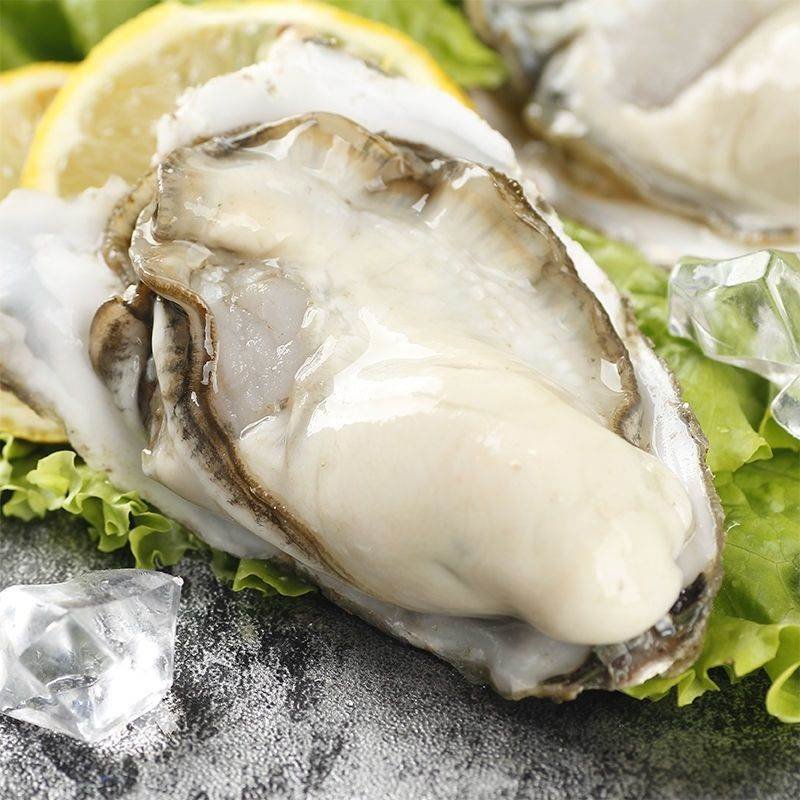 乳山生蚝鲜活5斤10斤新鲜海蛎子特大海鲜牡蛎肉刺身现捞整箱甄选3xl肥