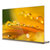 创维(Skyworth) 65W8 65英寸OLED智能4K超高清彩电HDR超薄平板电视 (金色)第4张高清大图
