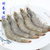 青岛黄海鲜活虾水产新鲜海虾海鲜深海大虾冰虾基围虾冻虾(两斤)第3张高清大图
