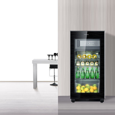 冰吧客厅冰箱冰柜家用恒温保湿带制冰保鲜化妆品冷藏茶叶红酒柜  120升