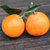 四川蒲江青见柑橘子5斤9斤装 新鲜水果单果70mm以上第4张高清大图