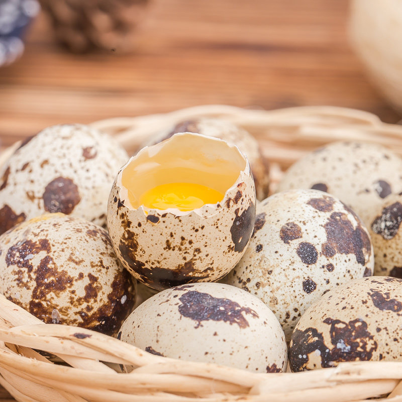五彩小淘 新鲜生鹌鹑蛋50枚 正宗农家*** 宝宝辅食孕妇营养【图片 价