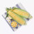 云南新鲜水果玉米 现摘现发8斤包邮 甜玉米即食生吃 玉米棒11-15个第2张高清大图