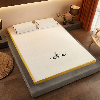 伊伊爱活性炭记忆棉可拆洗床垫厚9公分多色（单位：个）(灰色 床垫褥子单条Z02000193)