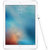 Apple iPad Pro 9.7英寸MM172CH/A（32G/玫瑰金/WLAN版）第4张高清大图
