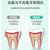 小象奇奇儿童牙膏3-12含氟防蛀宝宝牙刷套装换牙期可吞咽6岁以上(2只苹果味)第4张高清大图