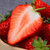 城南堡花  顺丰空运 红颜草莓 奶油草莓 大凉山露天草莓 新鲜水果(净重约5斤装)第2张高清大图
