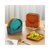 吐骨碟吐骨头碟家用6寸小碟子咸菜碟塑料小吃蛋糕碟餐桌垃圾盘子(置物架绿色)第4张高清大图