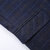 ZMBNLDDX607 新款男士西服休闲男士西装外套格纹小西装(蓝色 170)第5张高清大图