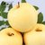 甘肃庆阳黄元帅黄香蕉苹果5斤约10-12个黄金帅水果果径75-80mm（新疆、西藏、海南、内蒙不发货）第5张高清大图