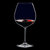 奥地利RIEDEL Accanto黑皮诺红葡萄酒杯高脚杯4支装 德国进口 国美厨空间第4张高清大图