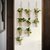 创意壁挂麻绳花瓶水培绿萝植物风铃幼儿园居家背景墙装饰田园吊件(6连（1条吊绳+6个PET花瓶）)第3张高清大图
