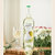 芭诺斯女神甜红甜白葡萄酒(白色 双支装)第2张高清大图