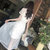夏装2018新款女装韩版显瘦白色蕾丝衬衫连衣裙女夏季气质高腰长裙(图片色)(XL)第4张高清大图