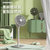 大宇（DAEWOO）电风扇落地扇家用风扇台地扇台扇低音直流变频遥控节能果岭风电扇 F3 Pro(升级绿色)第7张高清大图
