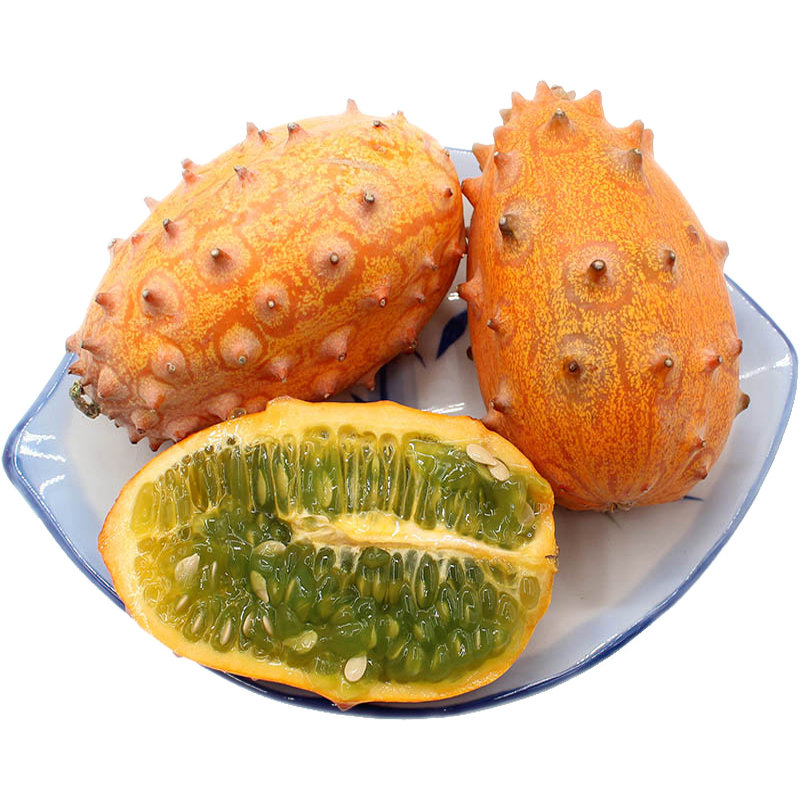 杞农云商火参果单果200250克6个装6个装