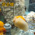 清洁鱼缸吃鱼龟屎粪便螺淡水除藻工具冷水大田螺宠物观赏黄金螺(5-7厘米1个螺 默认版本)第2张高清大图