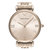 阿玛尼(EmporioArmani)手表满天星商务个性时尚腕表简约钢带石英女表AR11059(金色 钢带)第2张高清大图