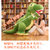 恐龙毛绒玩具抱枕男女孩睡觉床上娃娃可爱儿童玩偶大号霸王龙公仔(蓝副节龙 组合 1.1-1.2米全长+30厘米不同款恐龙【可拆洗】)第3张高清大图