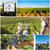 吉卡斯（jecups）巴洛特莫斯卡托 澳大利亚原瓶进口甜白葡萄酒 750ml/瓶(红色 单只装)第5张高清大图