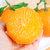 爱媛38柑橘果冻橙新鲜水果5斤装中果 约14-17个果 坏果包赔(5斤装中果)第9张高清大图